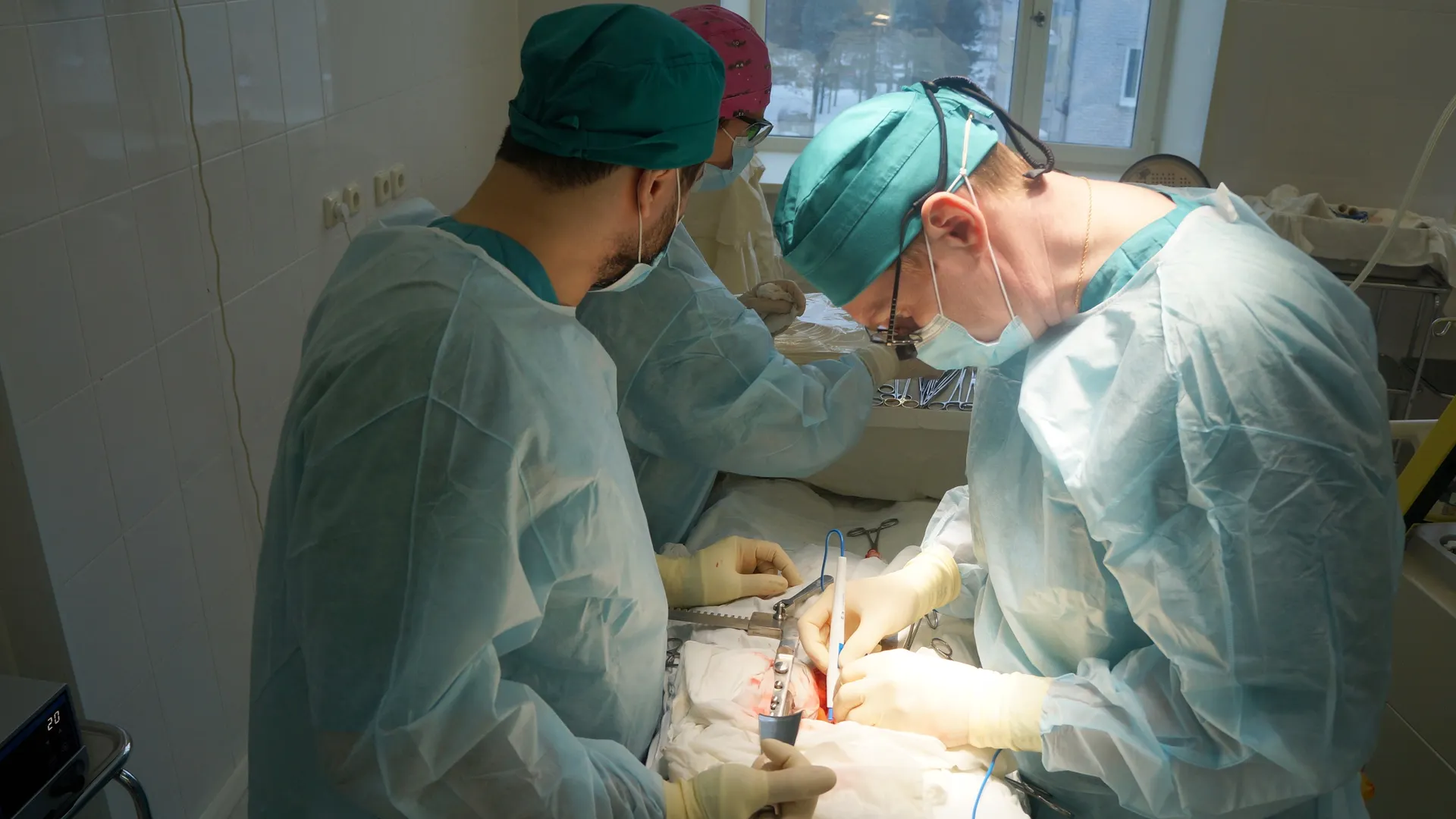 Фото: Ноябрьская ЦГБ/«ВКонтакте»