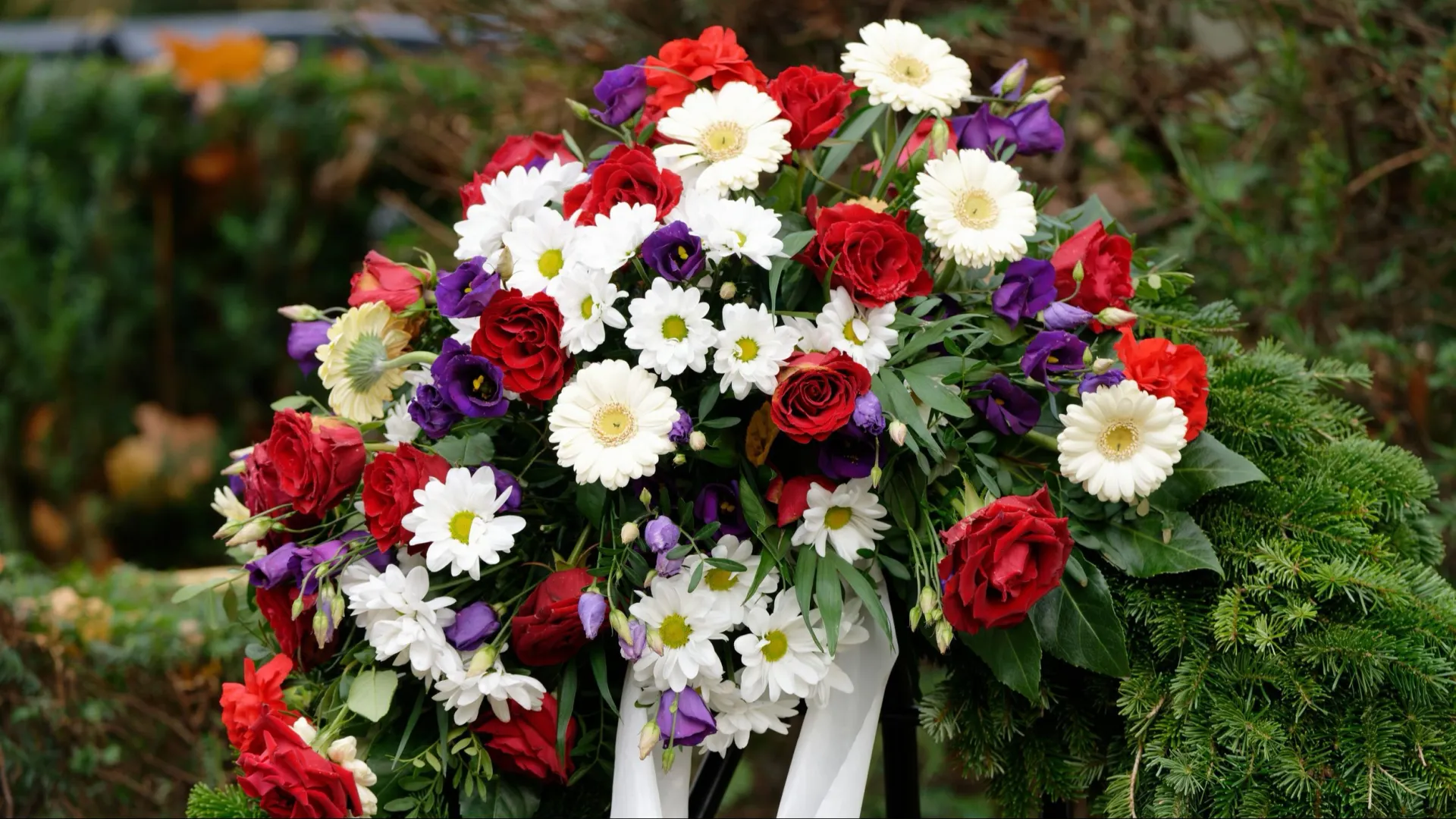 Фото: gerd-harder/Shutterstock/Fotodom