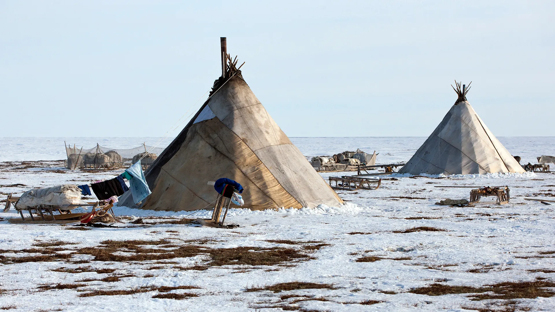 Фото: nenets/shutterstock.com