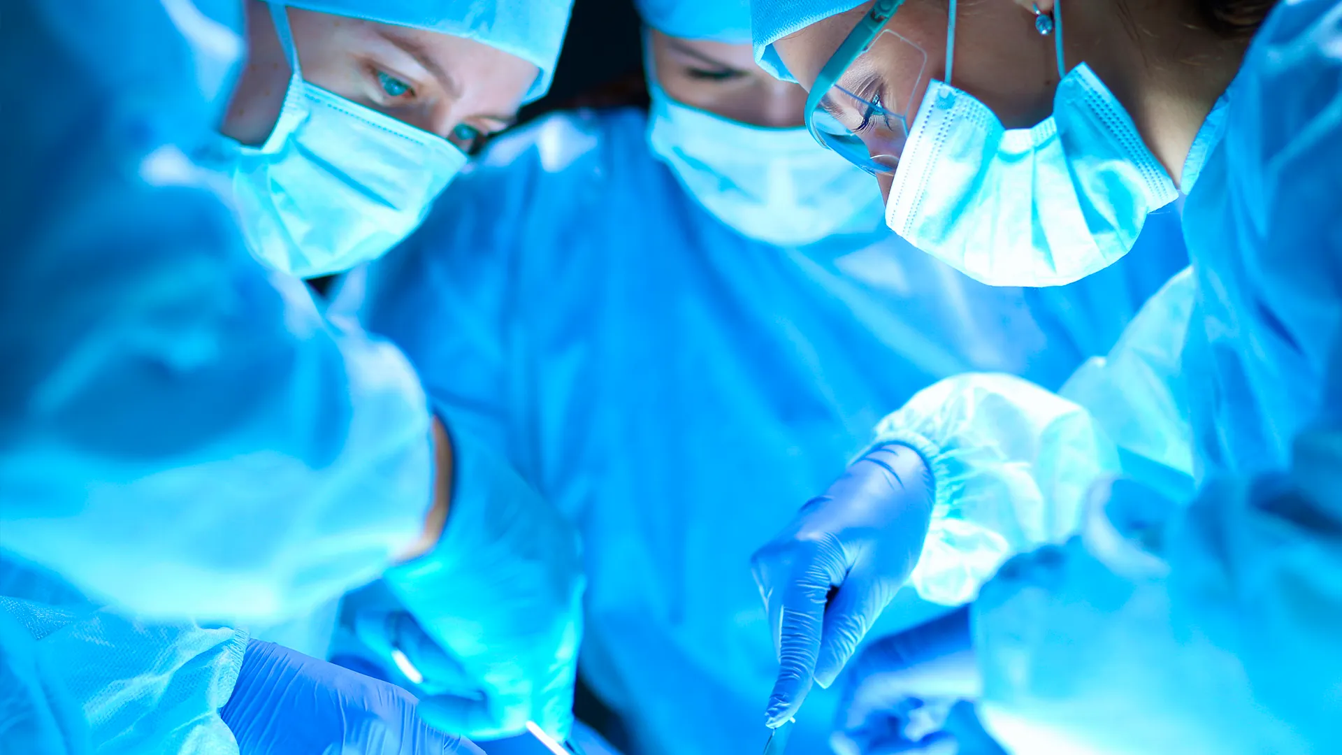 Фото: sheff /Shutterstock.com