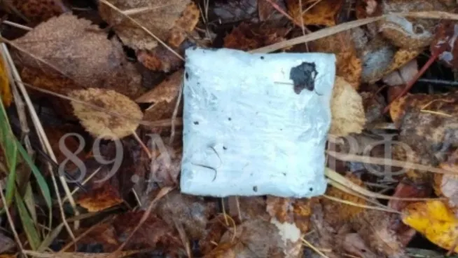 Фото предоставлено пресс-службой УМВД России по ЯНАО