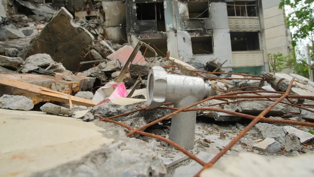 Фото: khorkins/Shutterstock/Fotodom