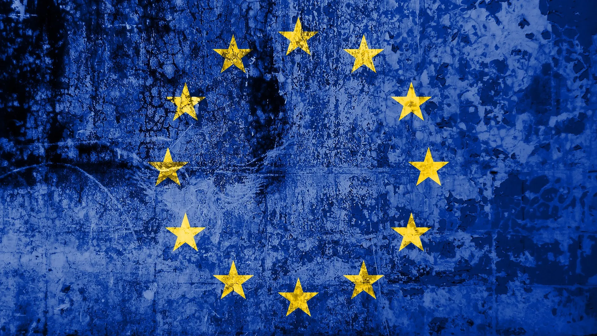 Фото: Dragana Stojanovic/Shutterstock/Fotodom