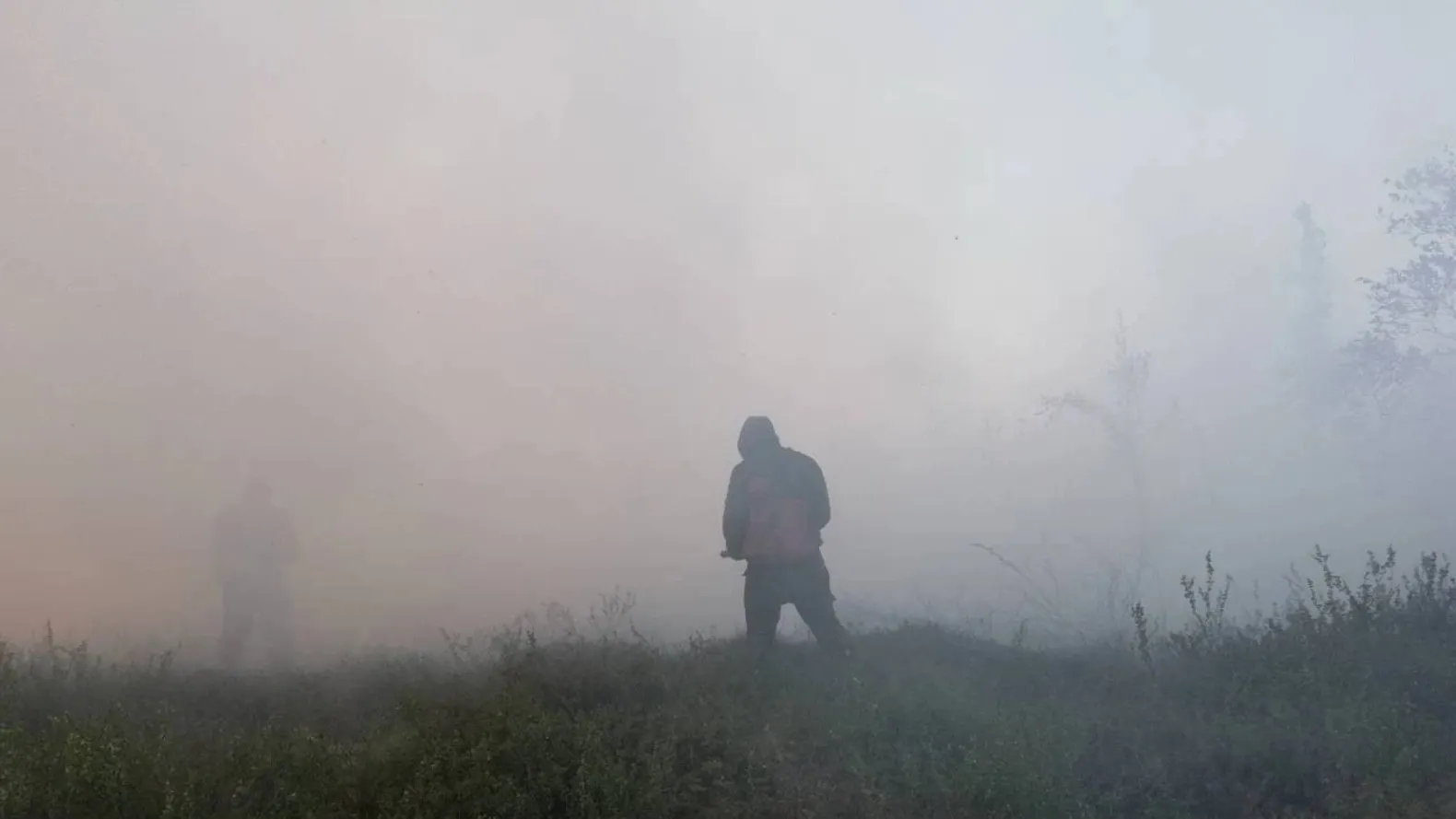 Фото: t.me/OlegNikolaevichPopov