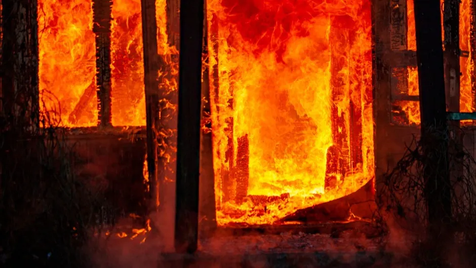 Фото: Mattias Bokinge/Shutterstock/Fotodom