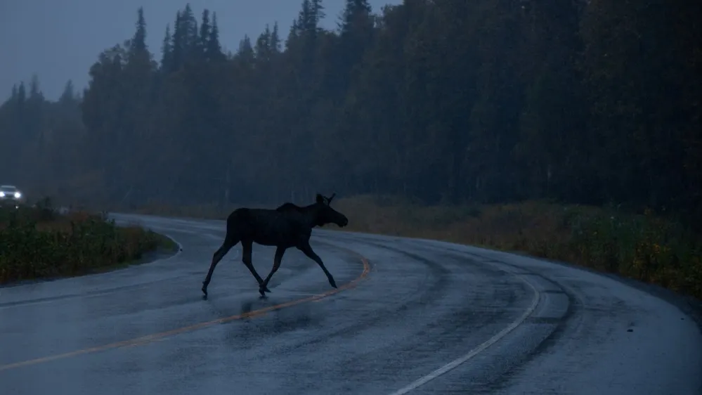 Фото: rybarmarekk/Shutterstock/Fotodom