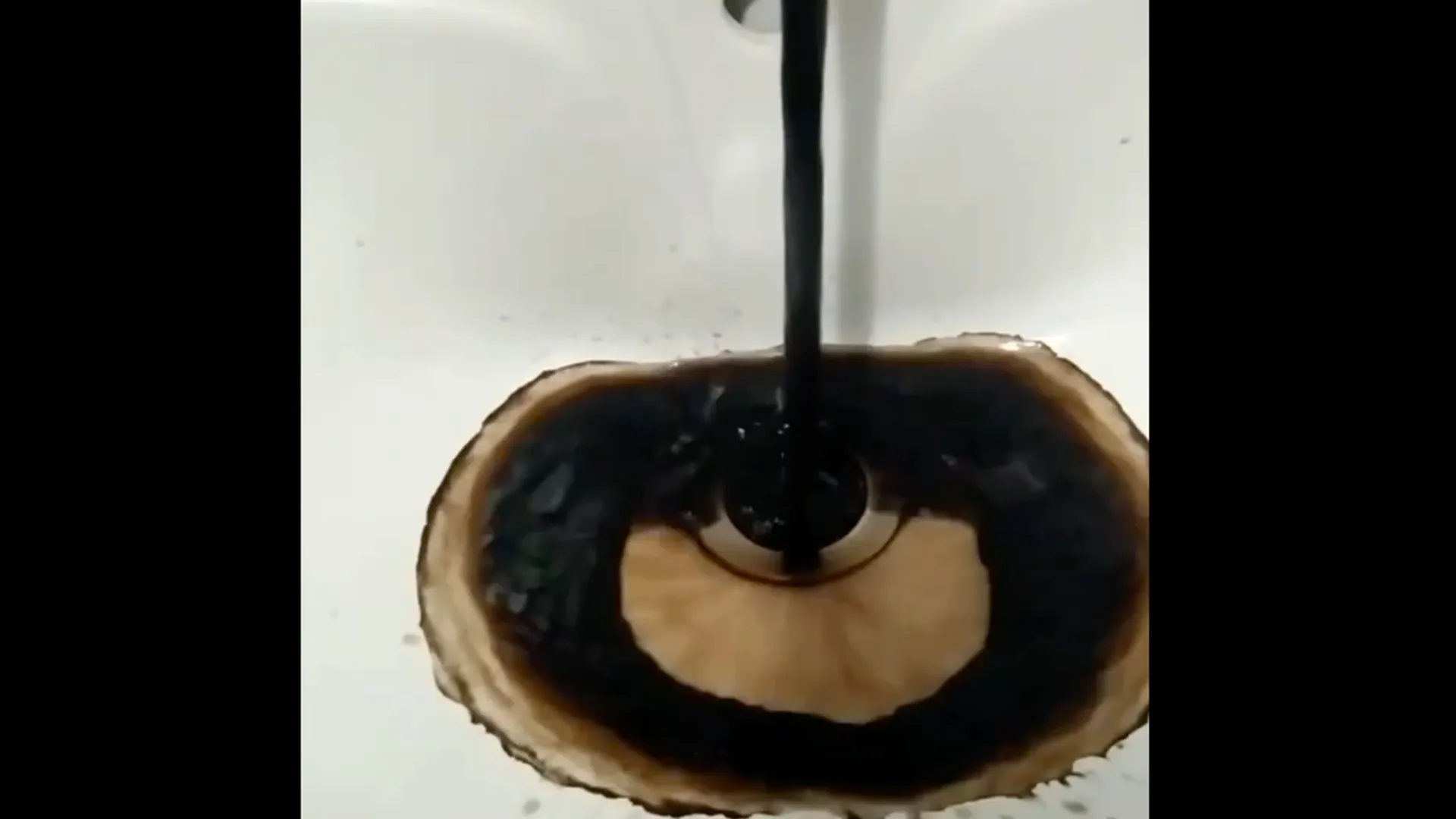 Фото: Вероника Рашидова/vk.com/zloynadym