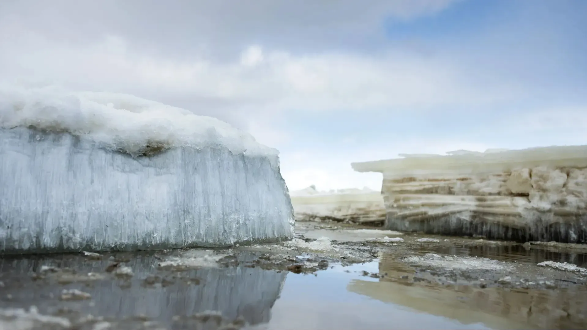 Фото: Андрей Ткачев / «Ямал-Медиа»