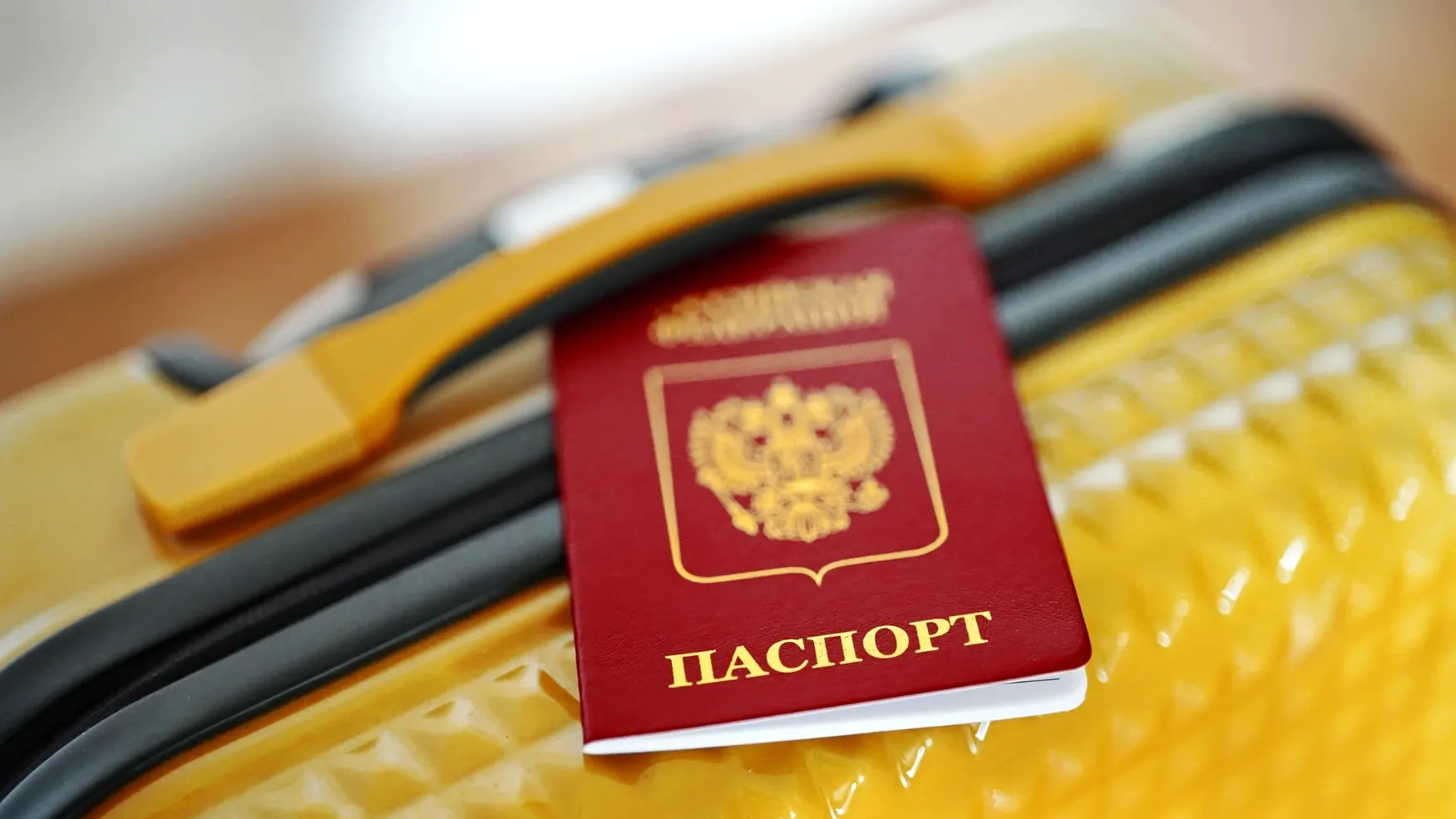 Фото: M-Production/Shutterstock/Fotodom