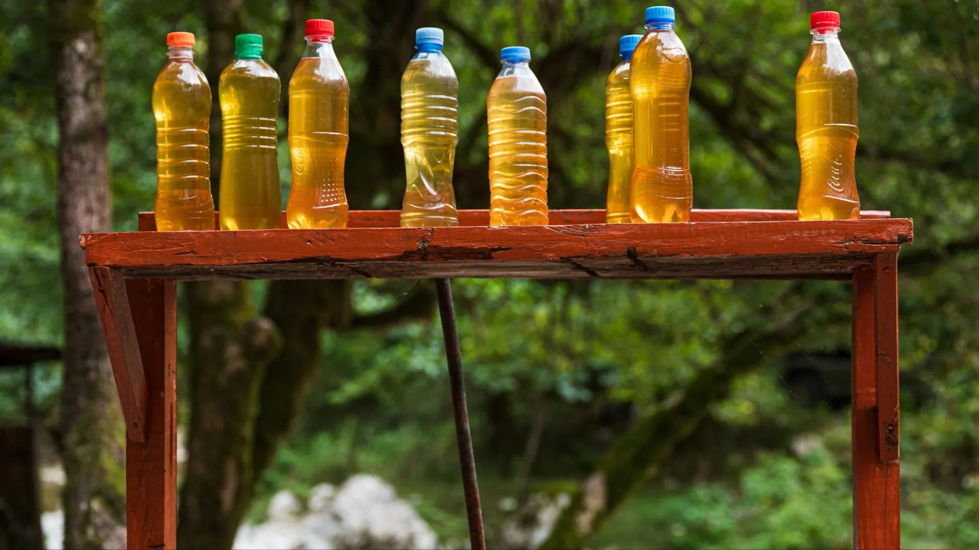 Фото: Dziurek/Shutterstock/Fotodom