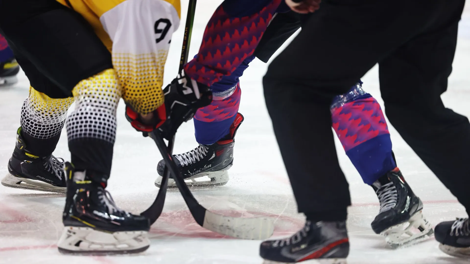 Фото: Андрей Ткачев/«Ямал-Медиа»