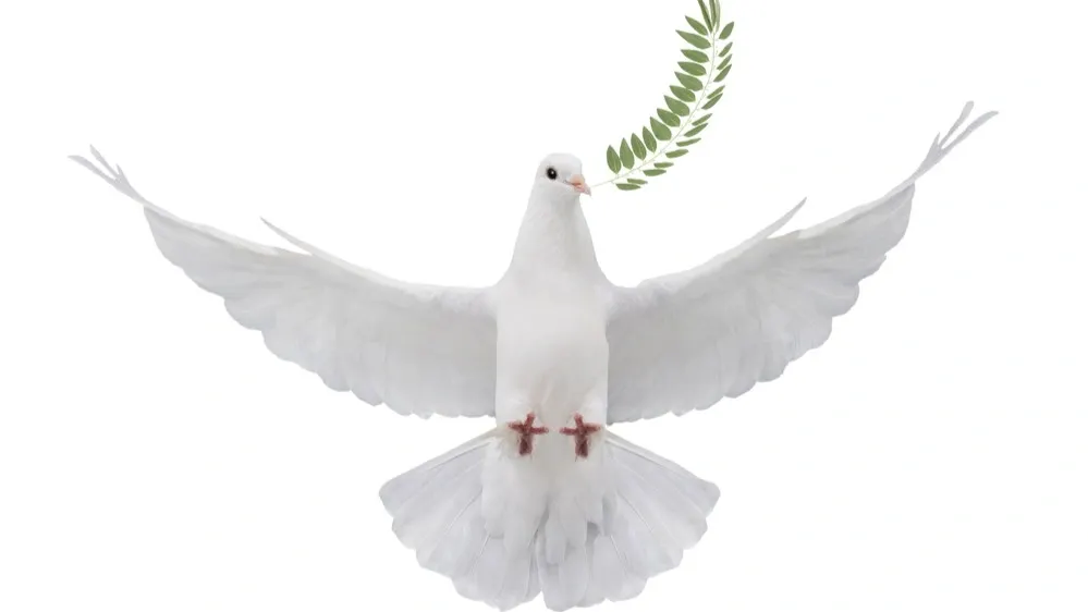 Фото: photomaster/Shutterstock/Fotodom