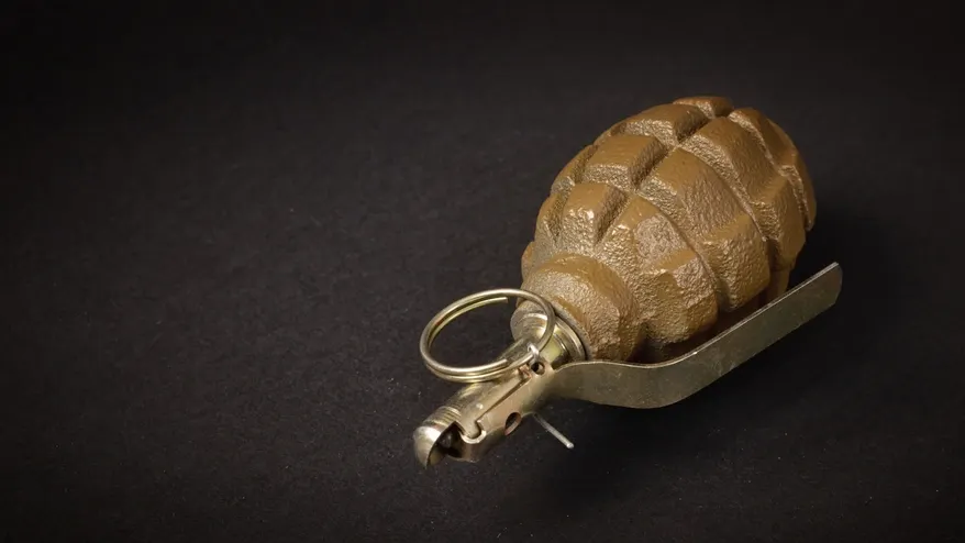 Фото: cornflowerz/Shutterstock/Fotodom