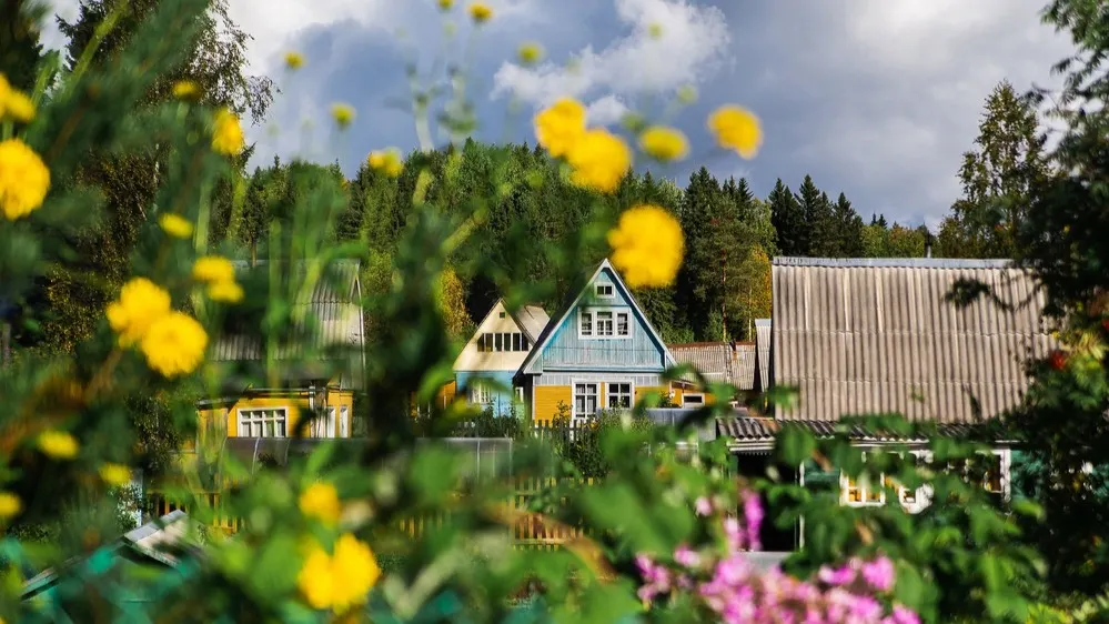 Фото: Sergey Zaykov/Shutterstock/Fotodom