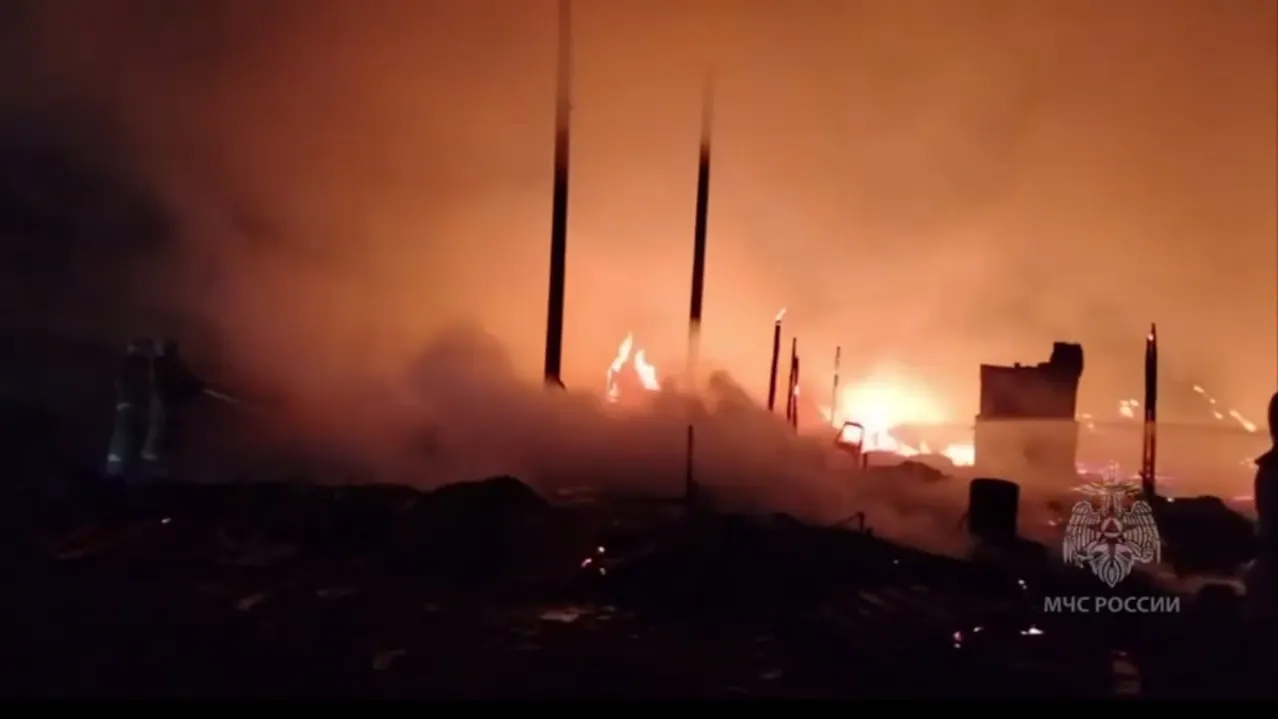 Кадр видео канала МЧС России/t.me