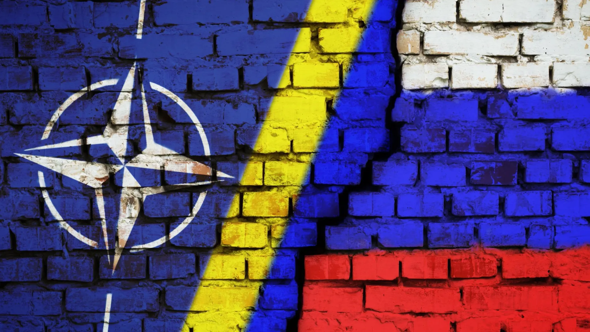 Фото: Vitalii Stock/Shutterstock/Fotodom