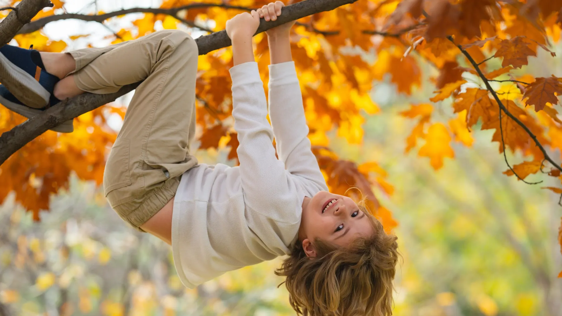 Фото: Volodymyr TVERDOKHLIB/Shutterstock/Fotodom