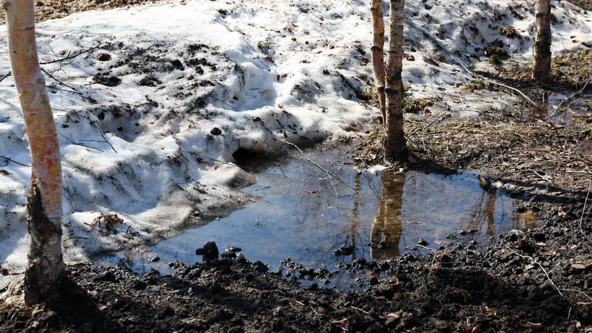 Метеоролог Кошкин рассказал, как поднимется вода в реках Ямала весной
