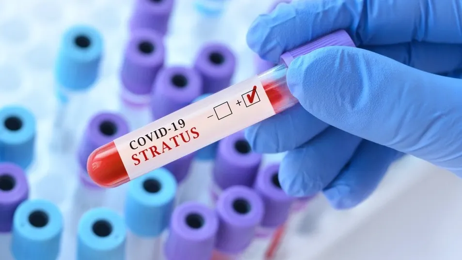 Фото: StanislavSukhin/Shutterstock/Fotodom