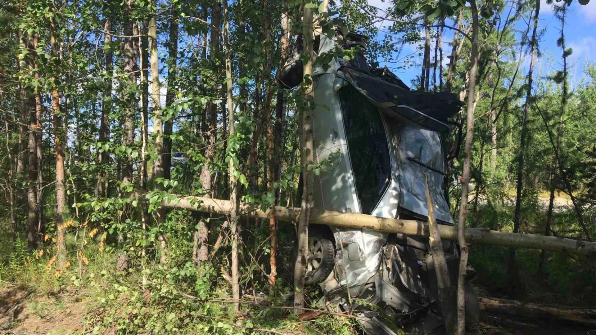 Фото: «Ямал Медиа»