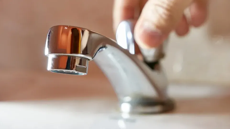 Фото: Vitstyle/Shutterstock