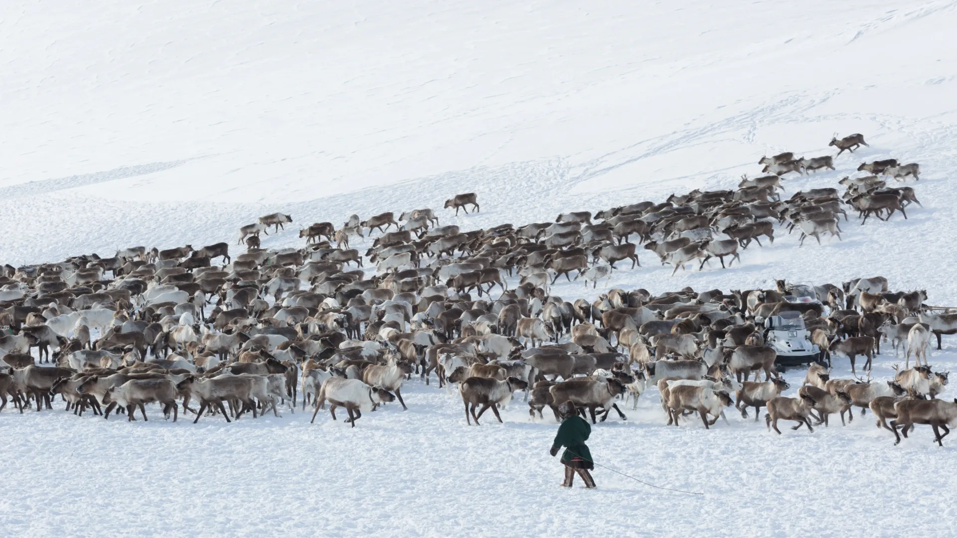 Фото: Elena Shchipkova/Shutterstock/Fotodom