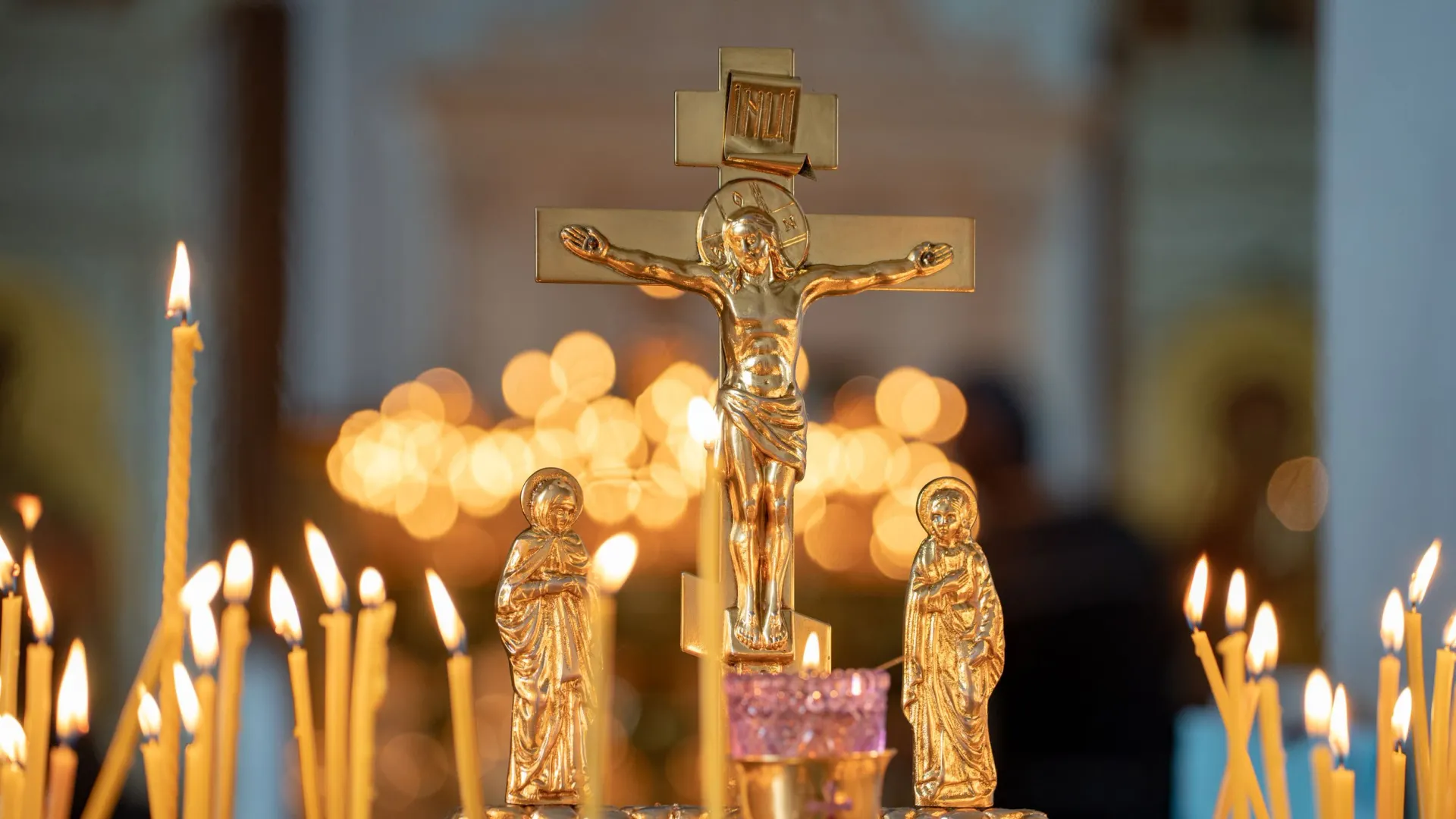 Фото: Сергей Зубков/«Ямал-Медиа»