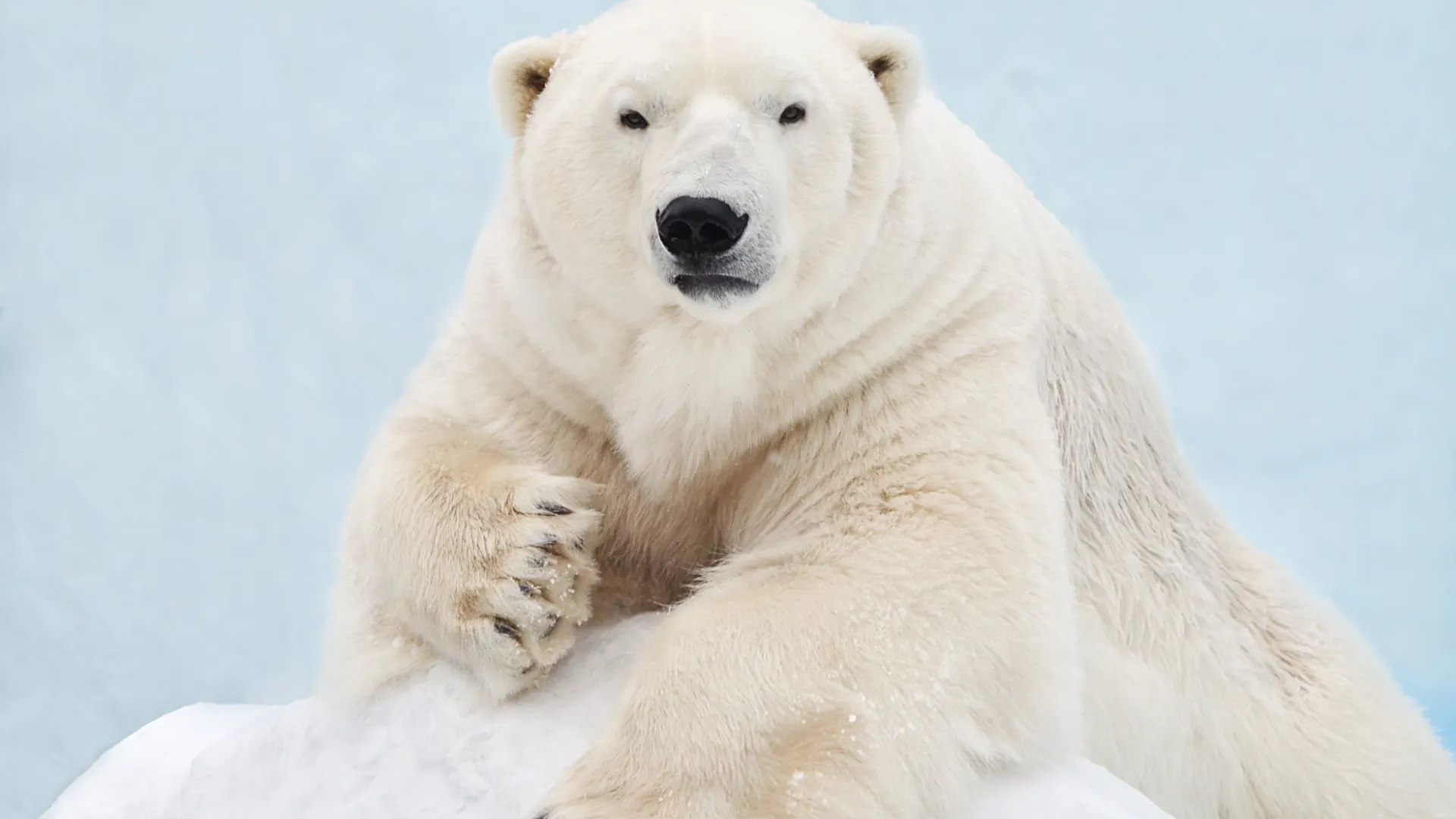 Фото: evaurban/Shutterstock