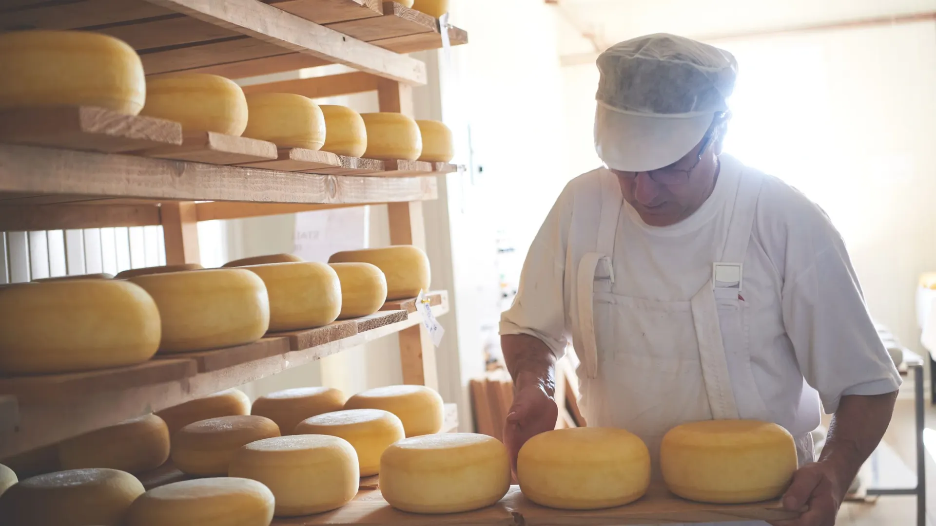 Фото: dotshock/Shutterstock/Fotodom