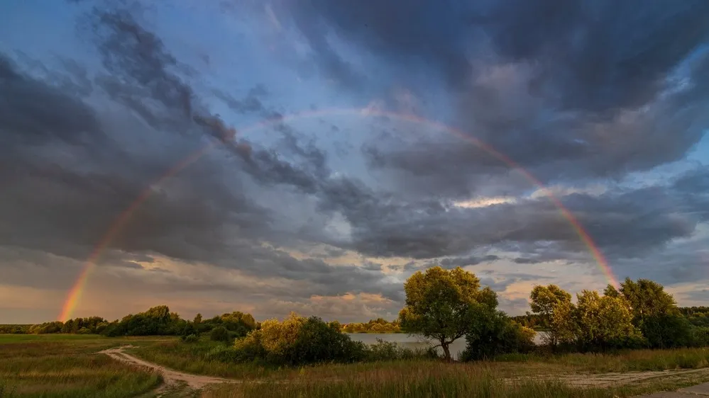 Фото: ARTpok/Shutterstock/Fotodom