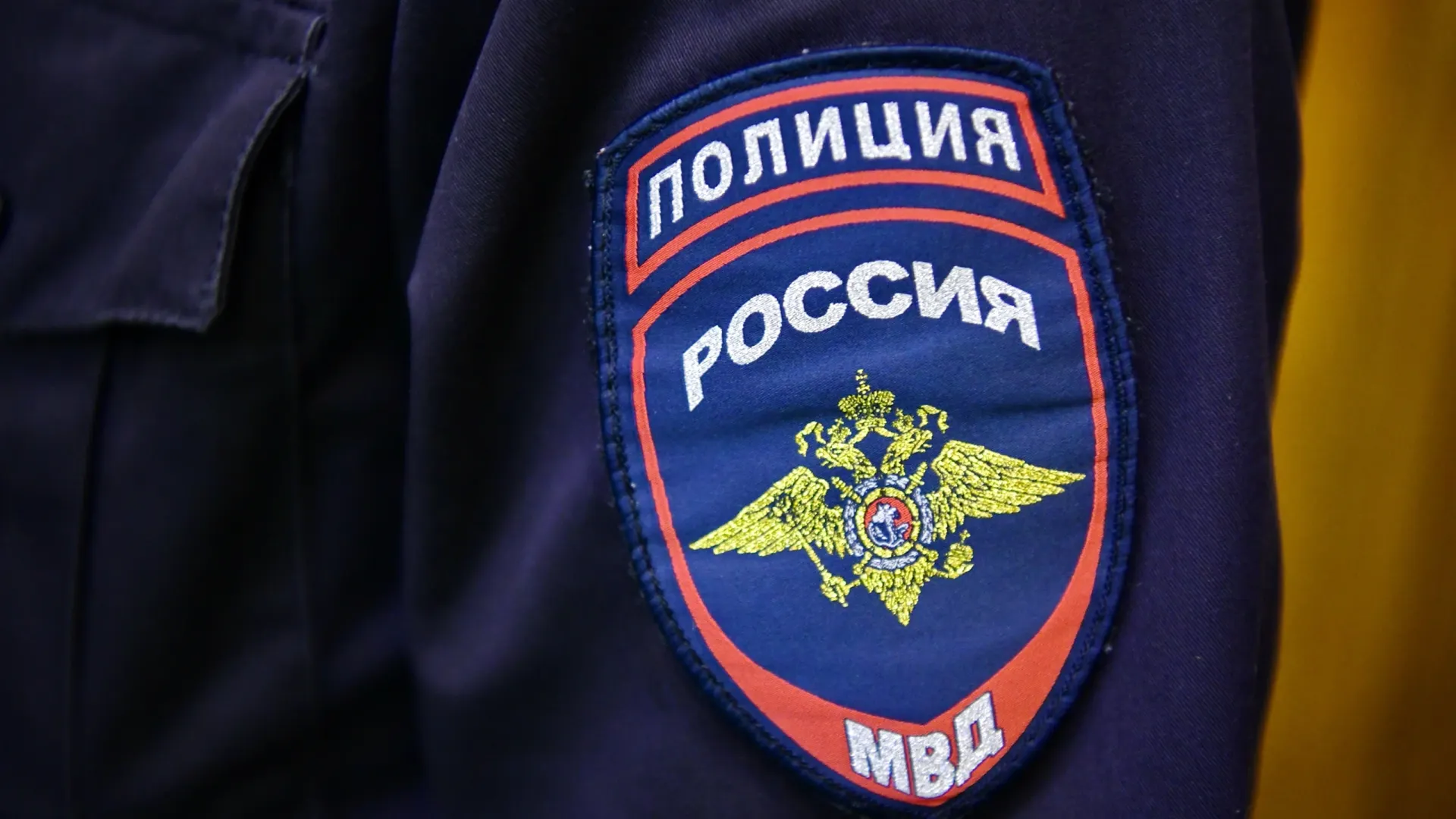 Фото: Андрей Ткачев/«Ямал-Медиа»