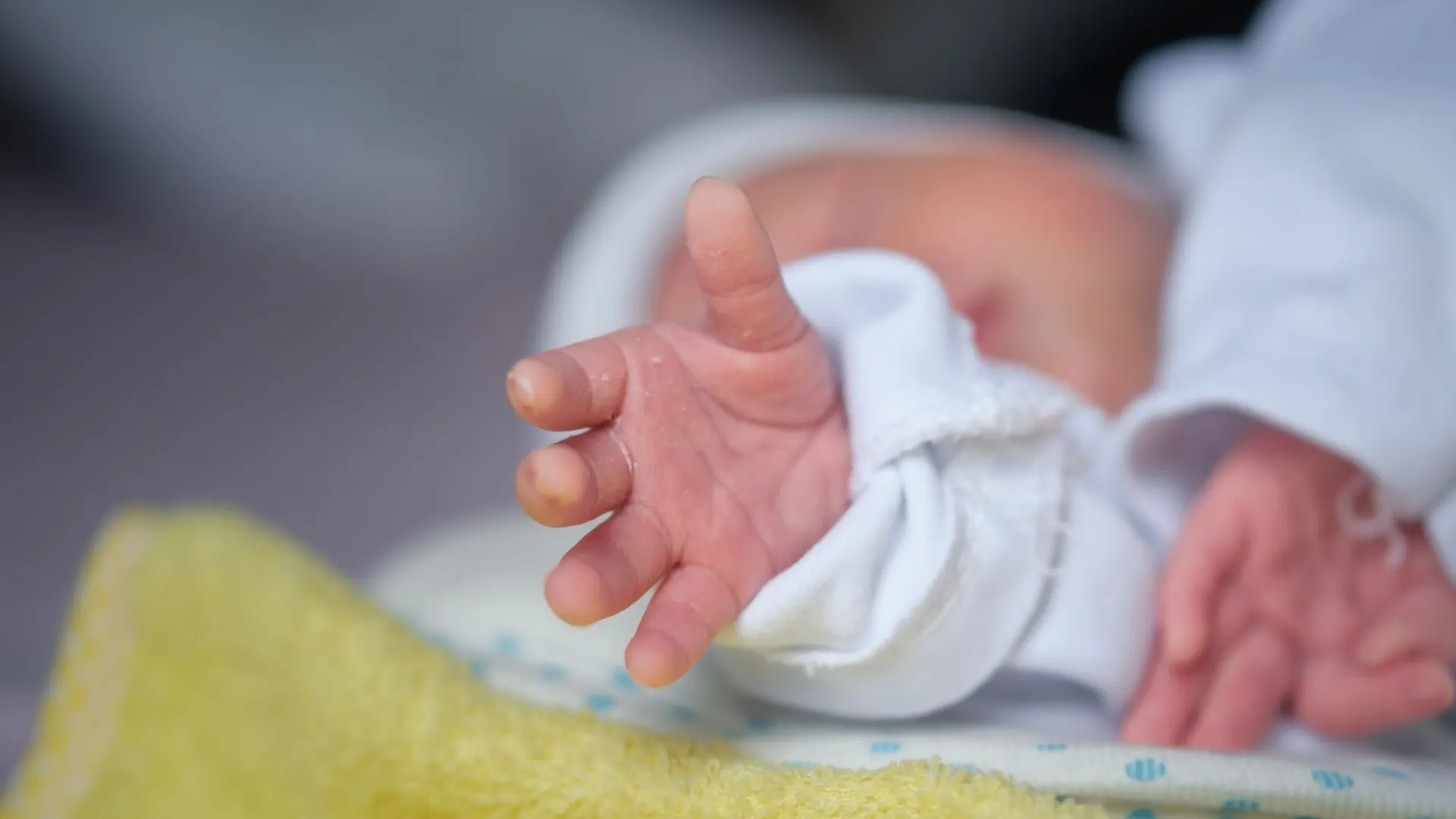 Фото: Mahsun YILDIZ/Shutterstock/Fotodom