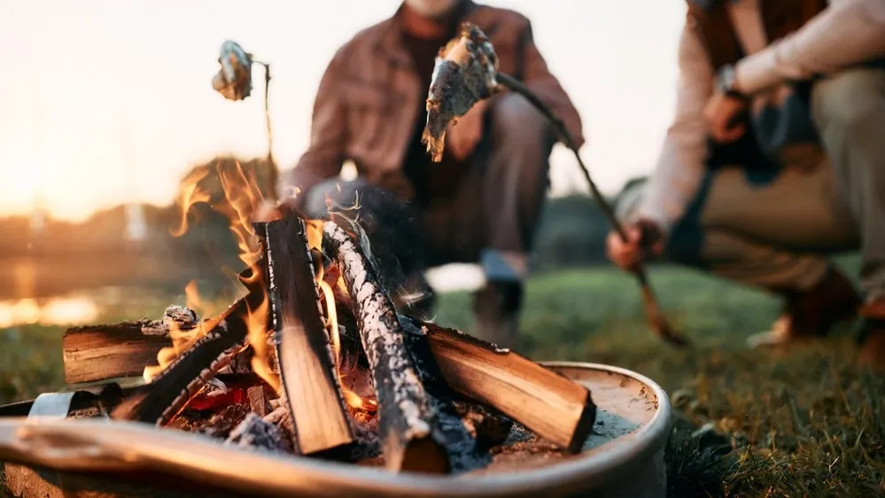 Фото: Drazen Zigic/Shutterstock/Fotodom