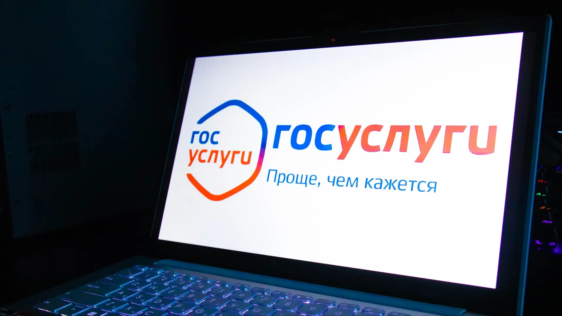 Фото: KateV28/Shutterstock/Fotodom