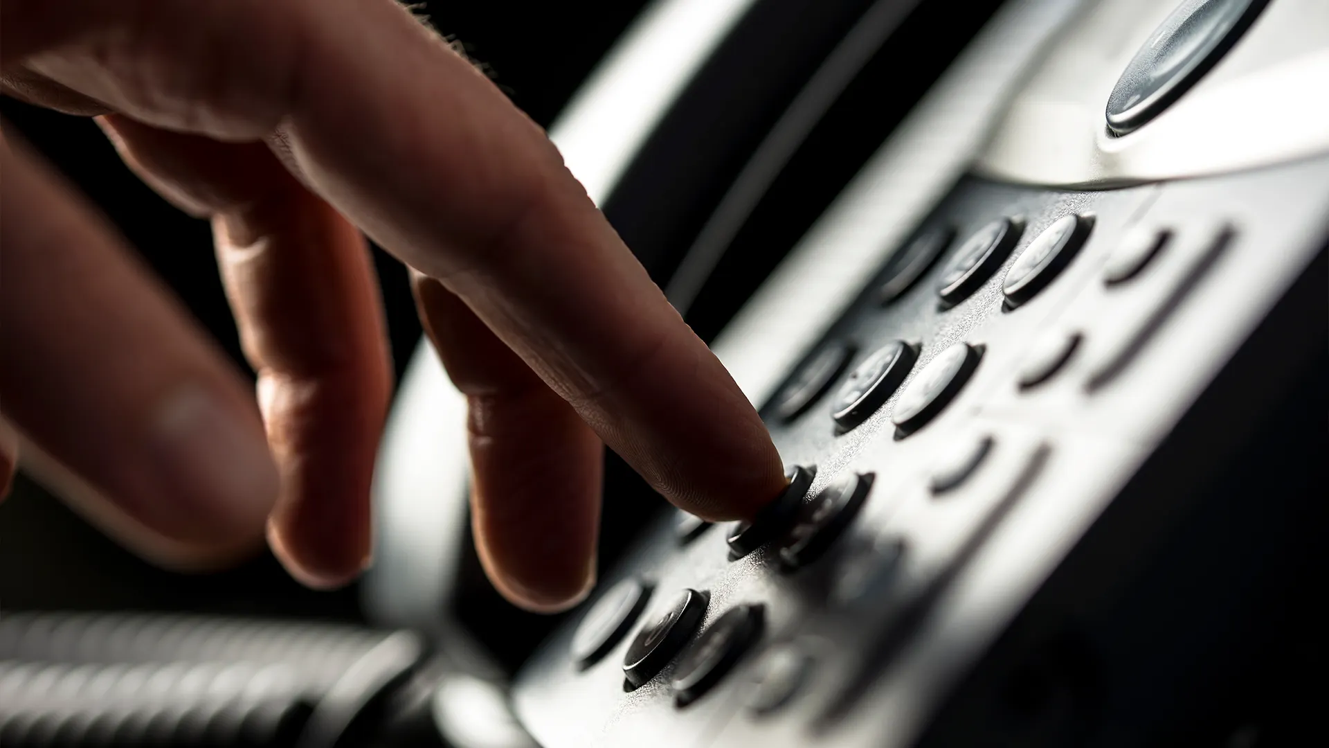 Фото: Gajus/shutterstock.com