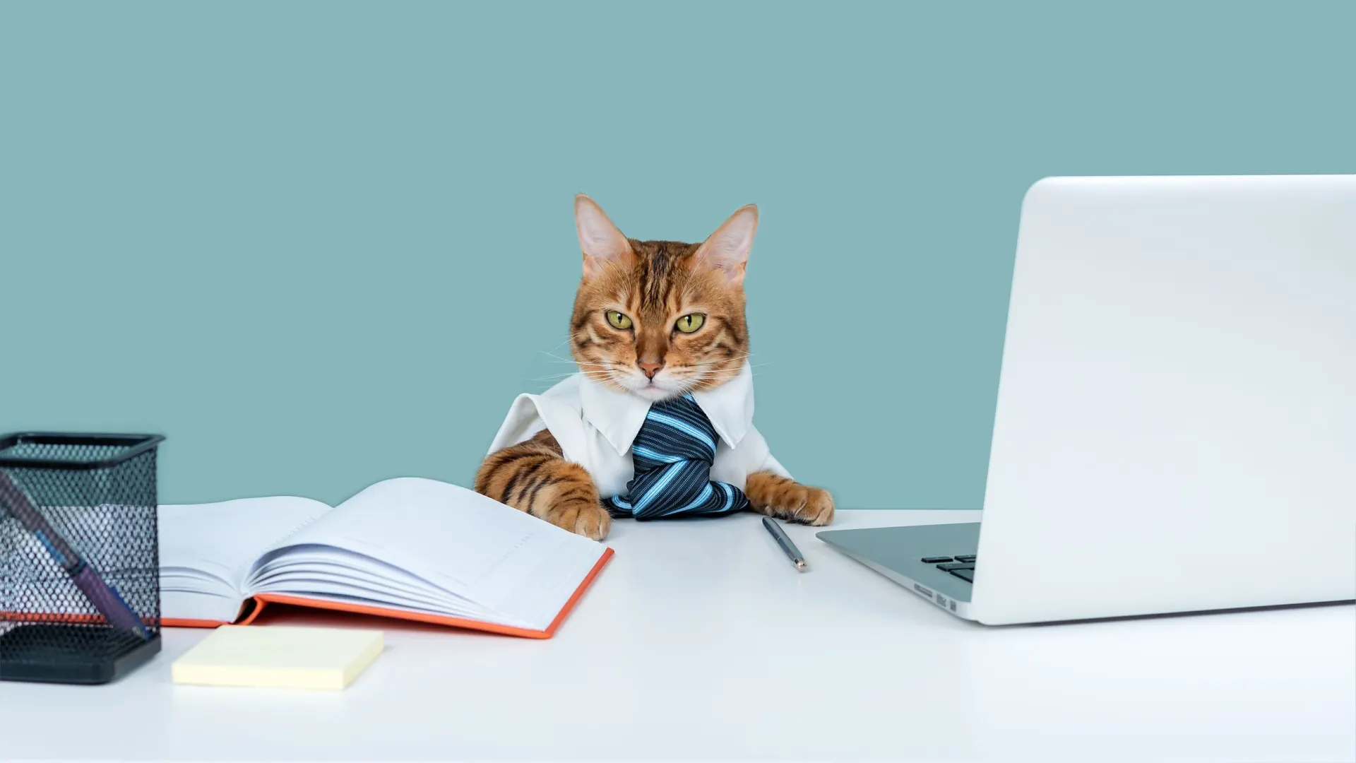 Фото: Svetlana Rey/Shutterstock/Fotodom