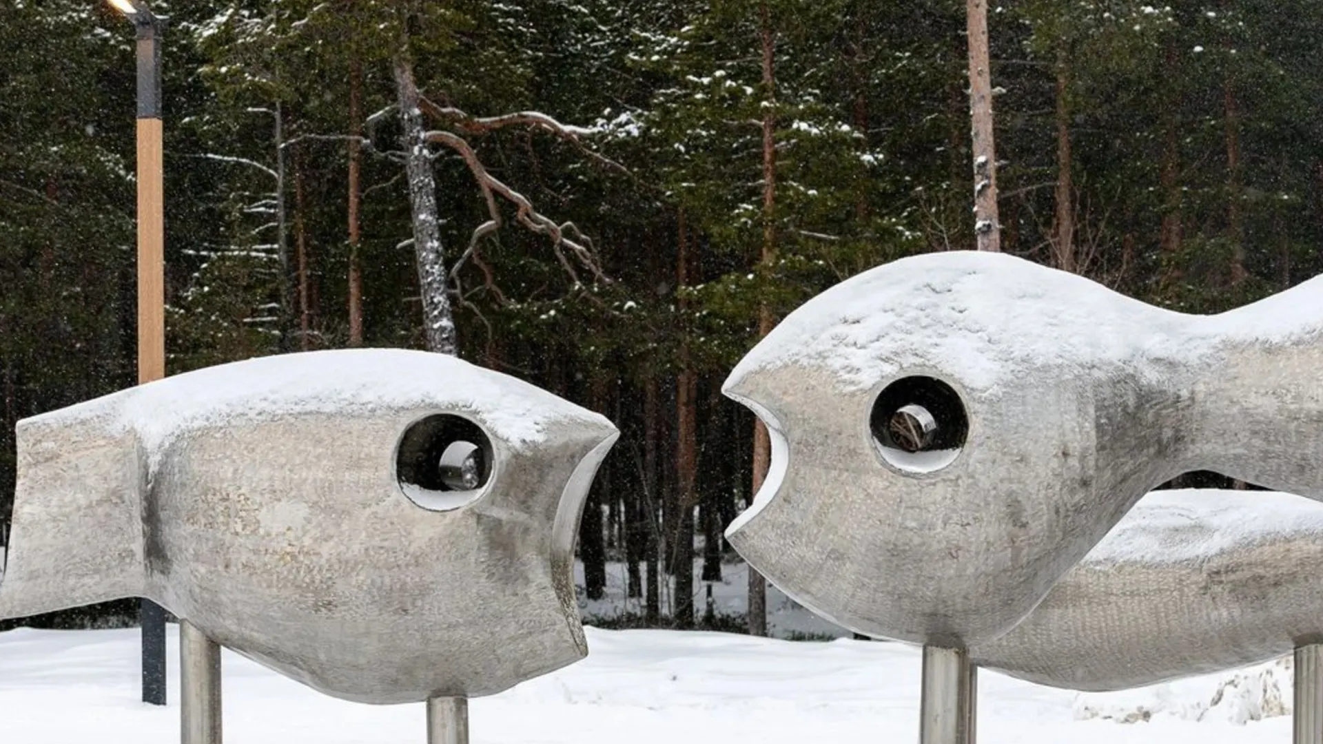 Фото: Сергей Зубков/«Ямал-Медиа»