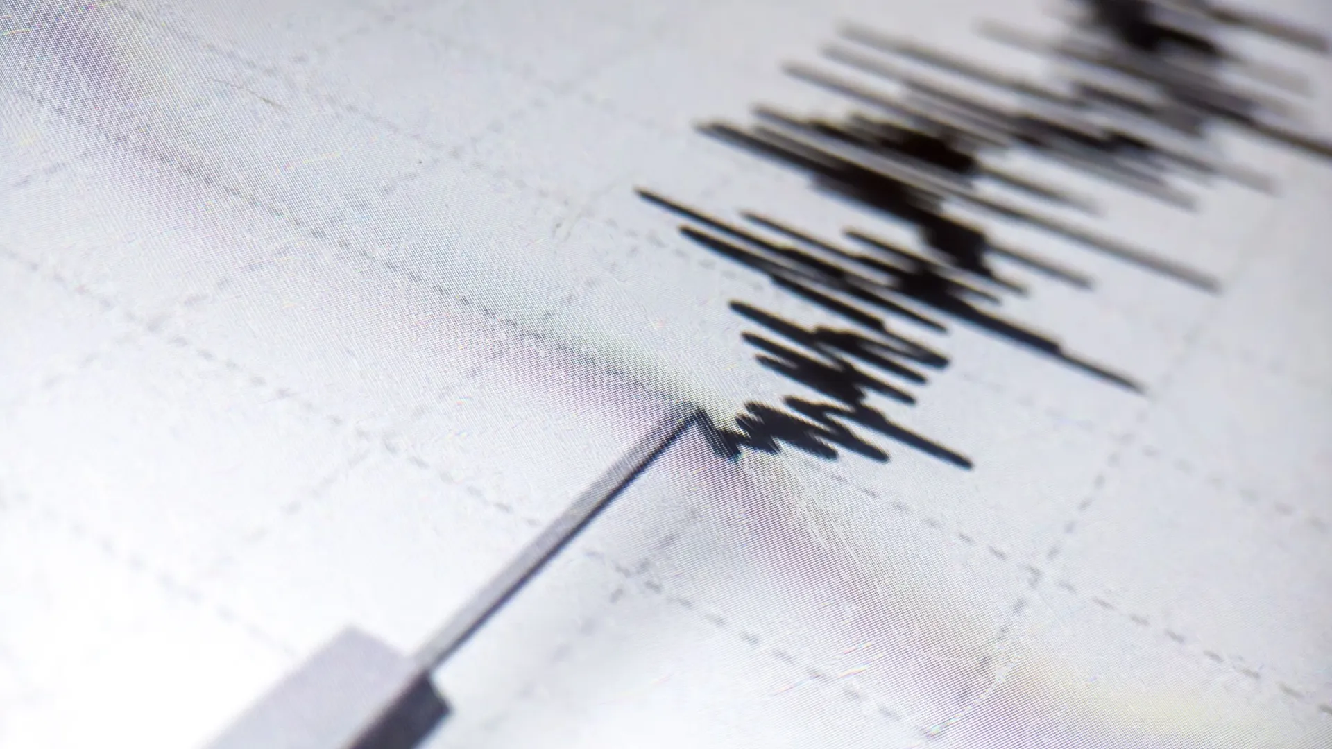 Фото: MuhsinRina/Shutterstock/Fotodom