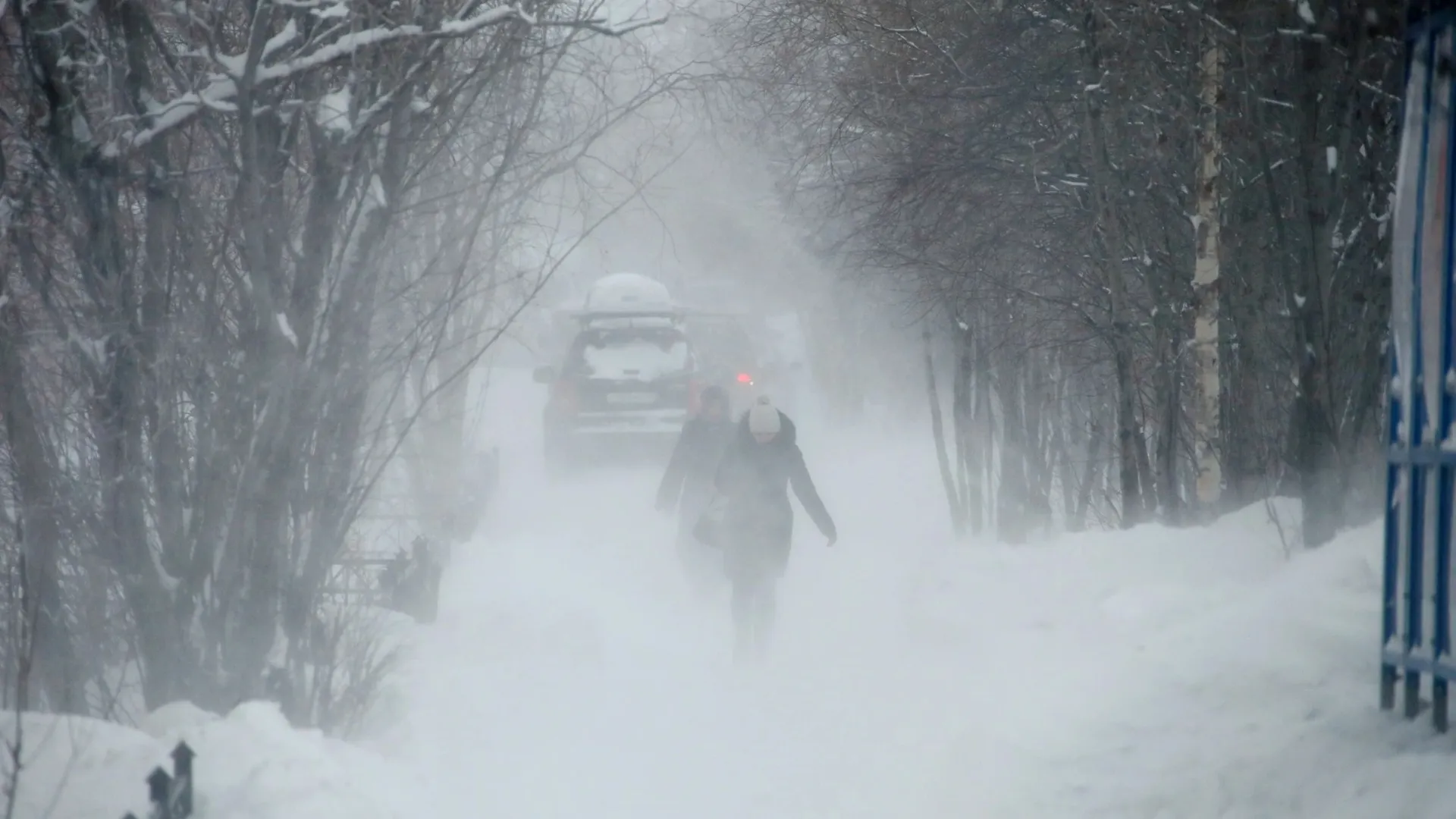 Фото: Василий Петров/«Ямал-Медиа»