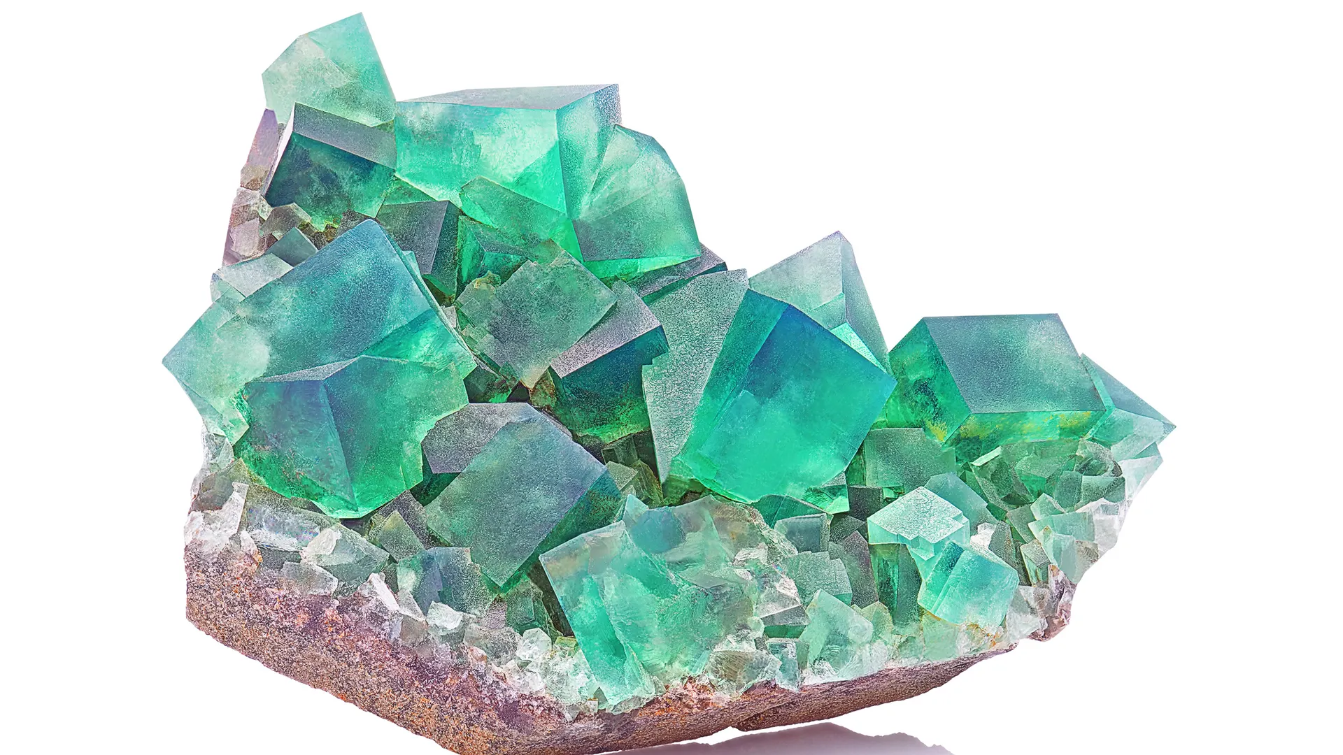 Фото: Sebastian Janicki /Shutterstock.com