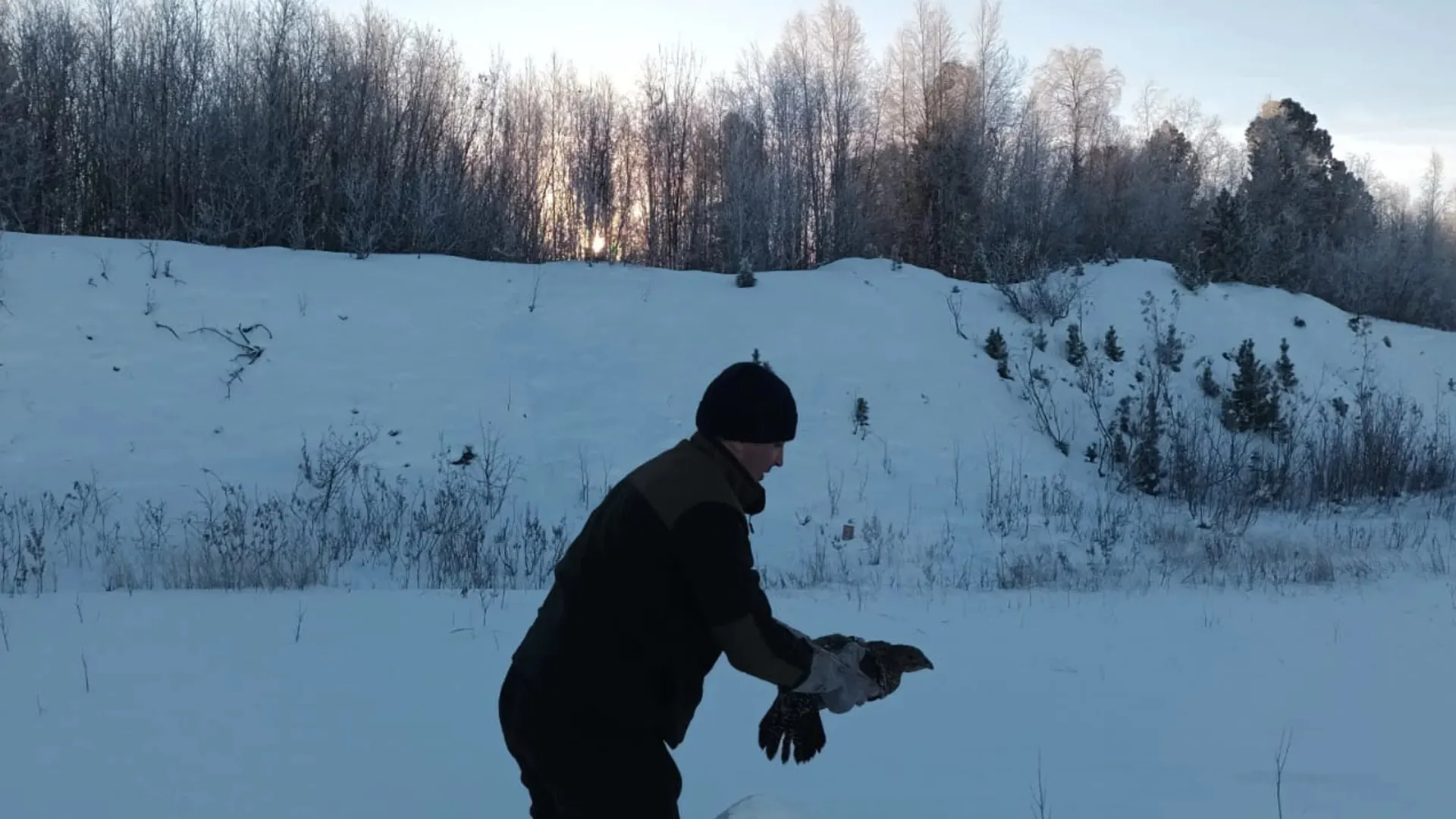 Фото: vk.com/dprryanao