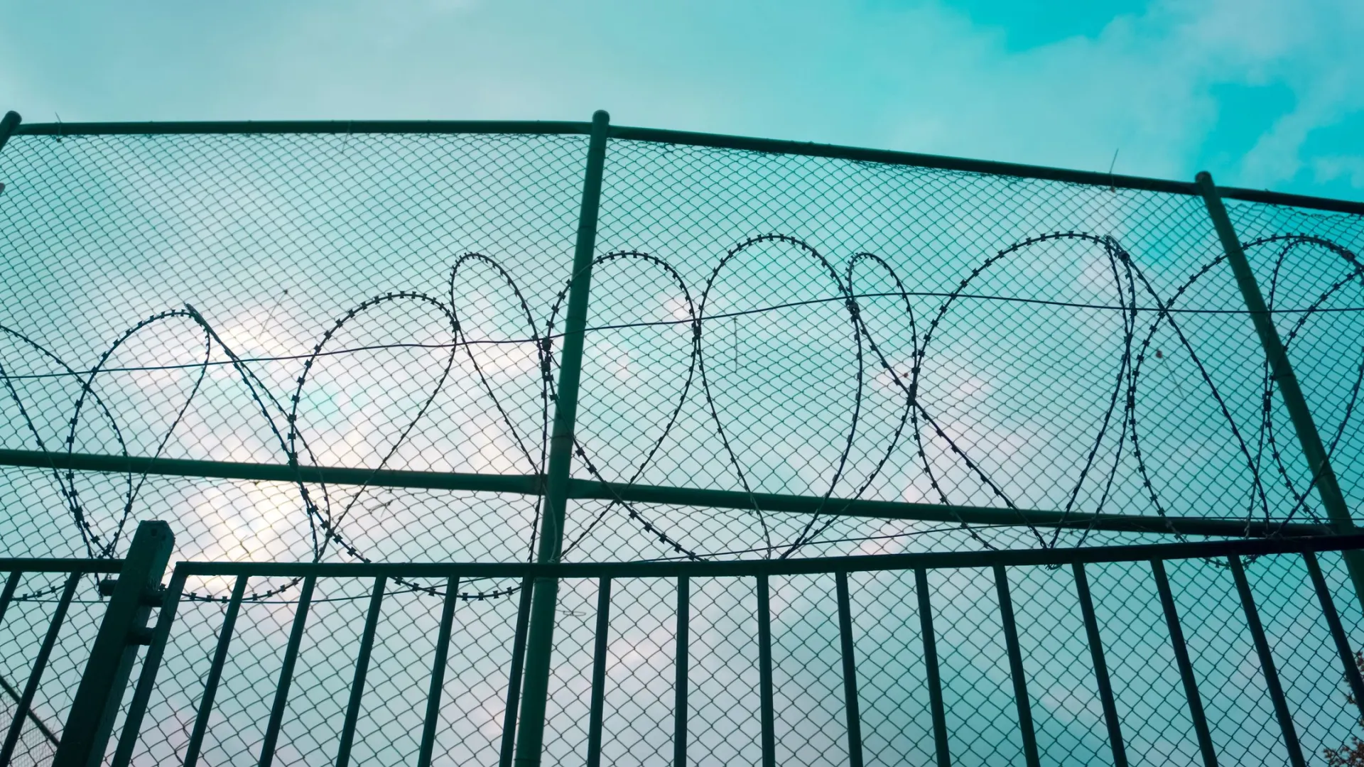 Фото: Akin Ozcan/Shutterstock/Fotodom