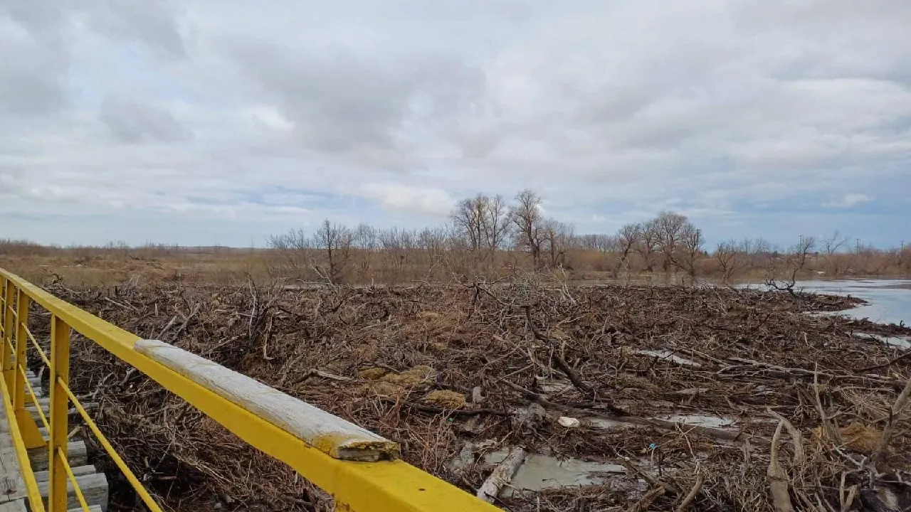 Фото: t.me/adm_Ishim