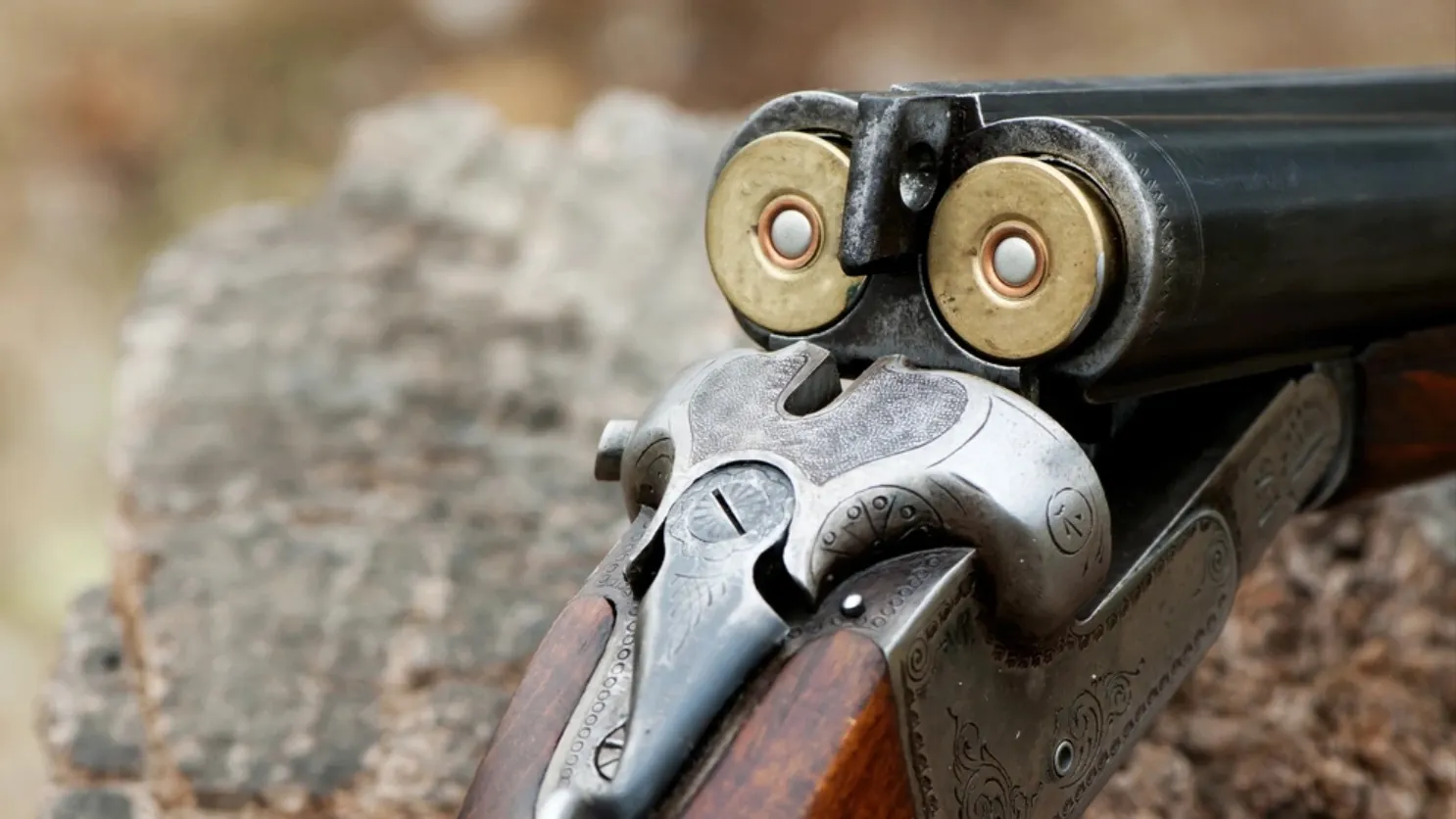 Фото: Serhii Dubenets/shutterstock.com/Fotodom