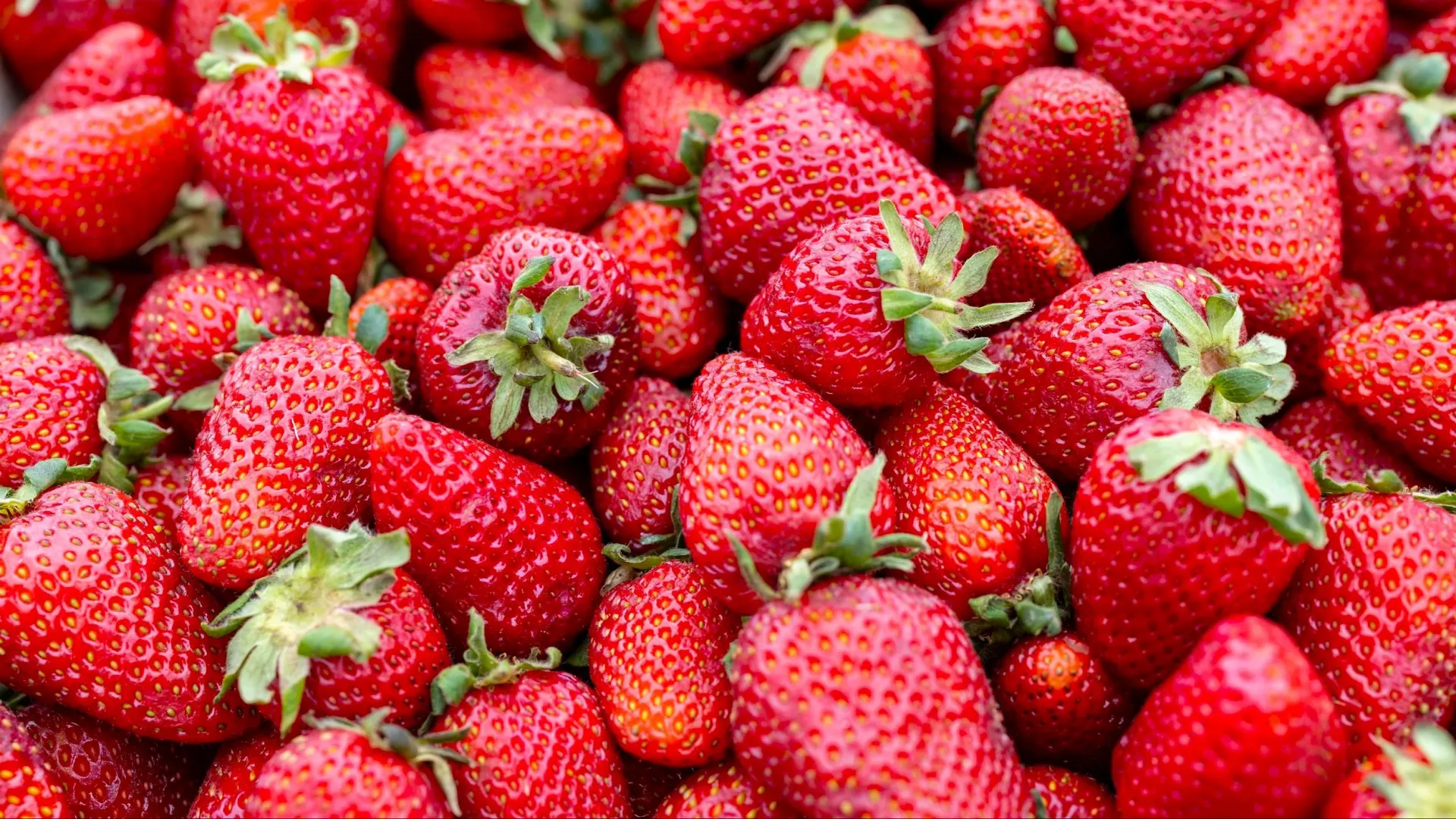 Фото: Сергей Зубков / «Ямал-Медиа»