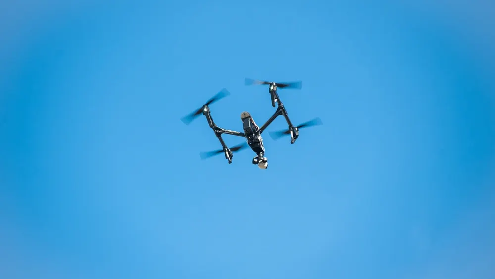 Фото: Nesterenko Maxym/Shutterstock/Fotodom