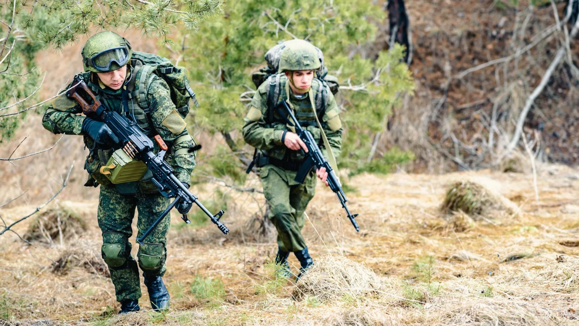 Фото: M. Arkhipov/Shutterstock/Fotodom