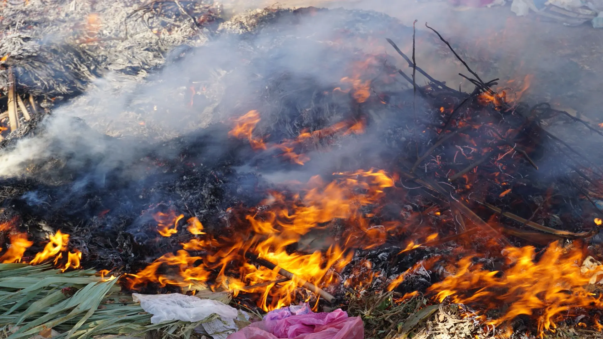 Фото: FunnyArti/Shutterstock/Fotodom