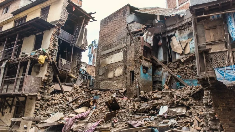 Фото: Julian Frees/Shutterstock/Fotodom