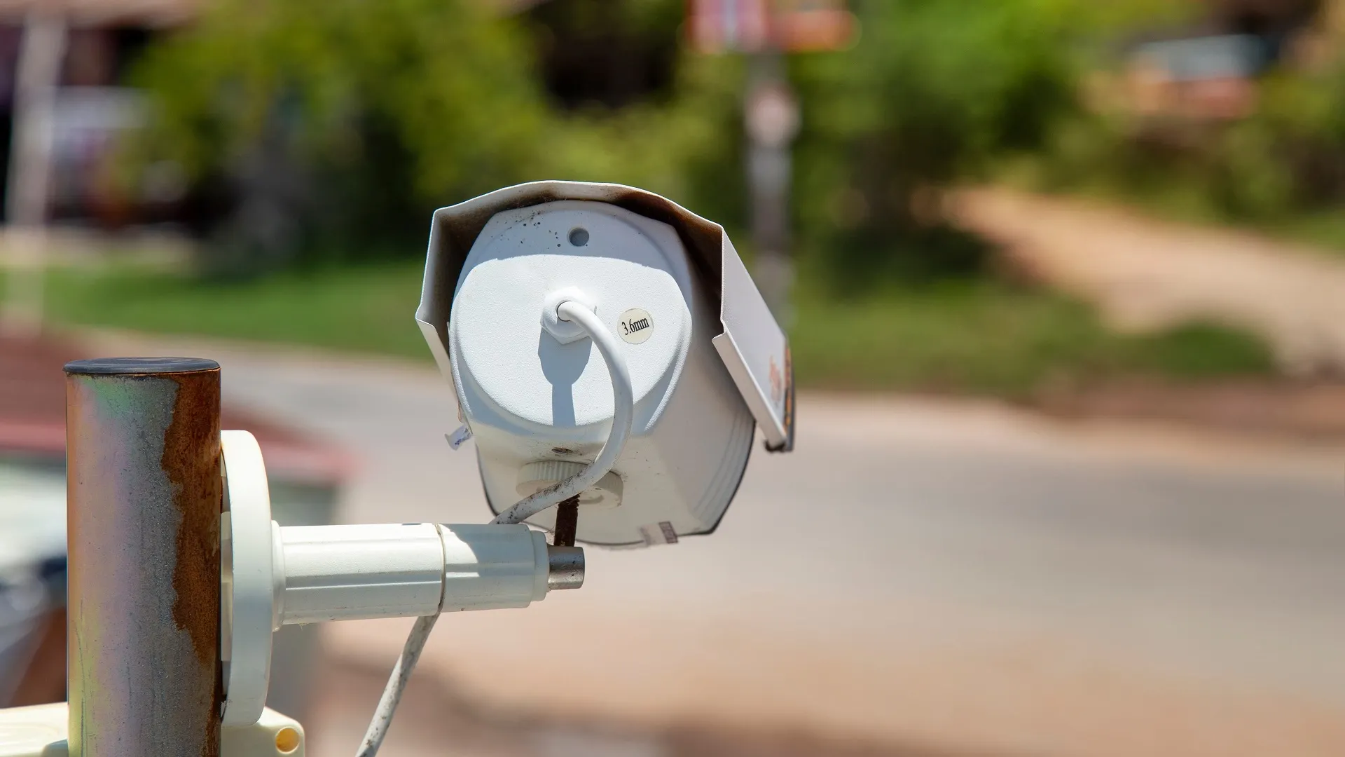 Фото: PitukTV/Shutterstock